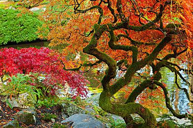 玩家现可将其游戏库从B社启动器移至Steam